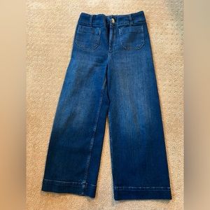 Anthropologie Pilcro high-rise crop wide leg jean. Size 28P